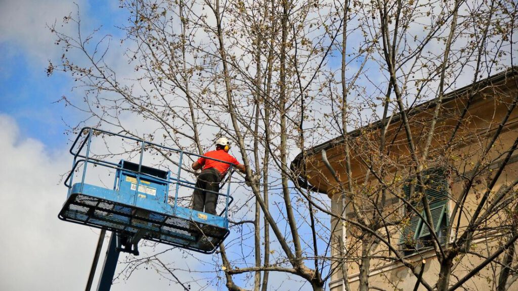 southlake-tree-service-company-storm-damage-clean-up-1_orig