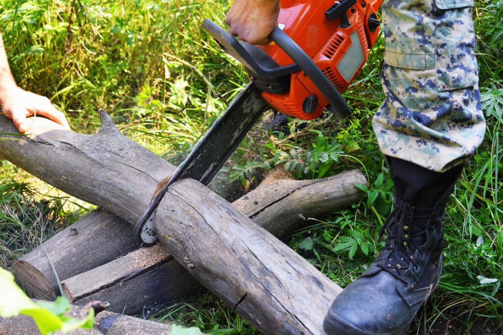 southlake-tree-service-company-tree-removal-disposal-2_orig